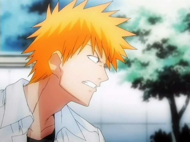 Otaku Gallery  / Anime e Manga / Bleach / Screen Shots / Episodi / 007 - Saluti da un animale di pezza / 014.jpg